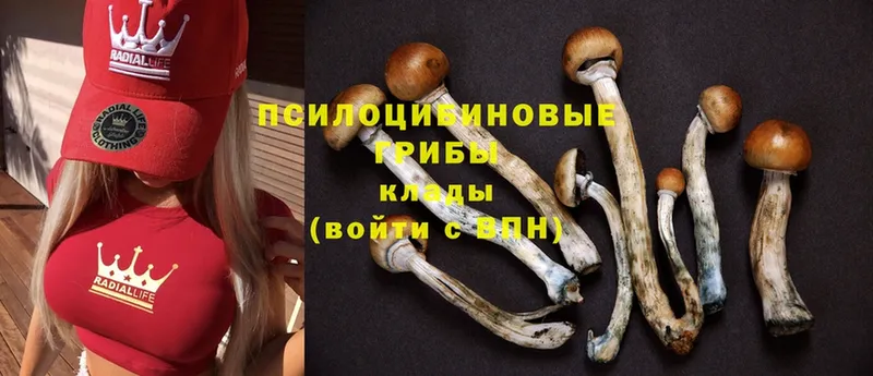 Галлюциногенные грибы Magic Shrooms  гидра рабочий сайт  Вуктыл 